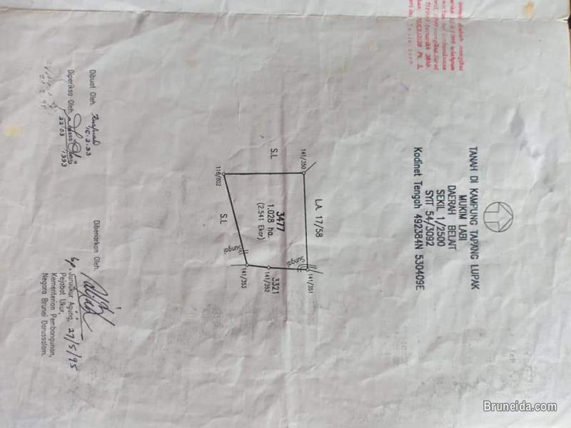 Pictures of LAND FOR SALE AND RENT
