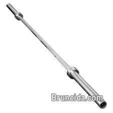 olympic bumper plates and barbell - image 1