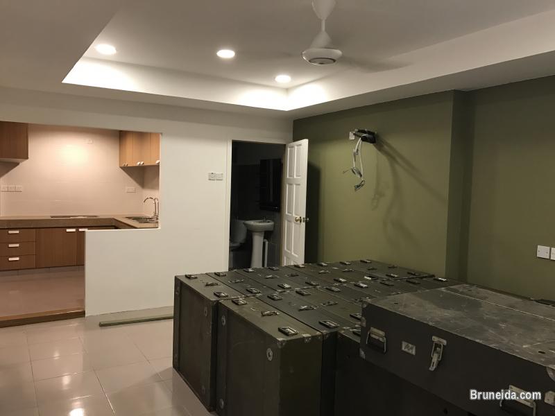 Self-Contain - image 4