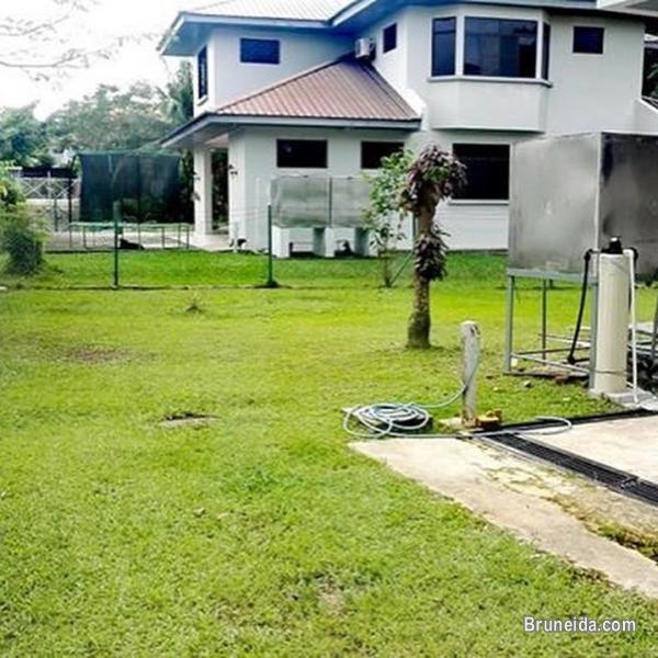 NEWLY RENOVATED DETACHED HOUSE FOR RENT - image 3