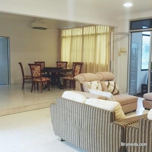 NEWLY RENOVATED DETACHED HOUSE FOR RENT - image 4