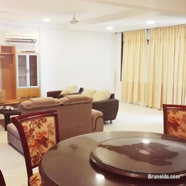 NEWLY RENOVATED DETACHED HOUSE FOR RENT - image 5