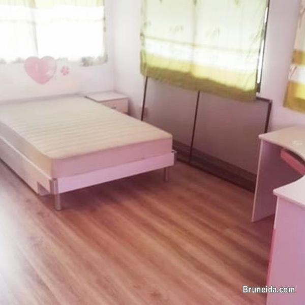 NEWLY RENOVATED DETACHED HOUSE FOR RENT - image 8