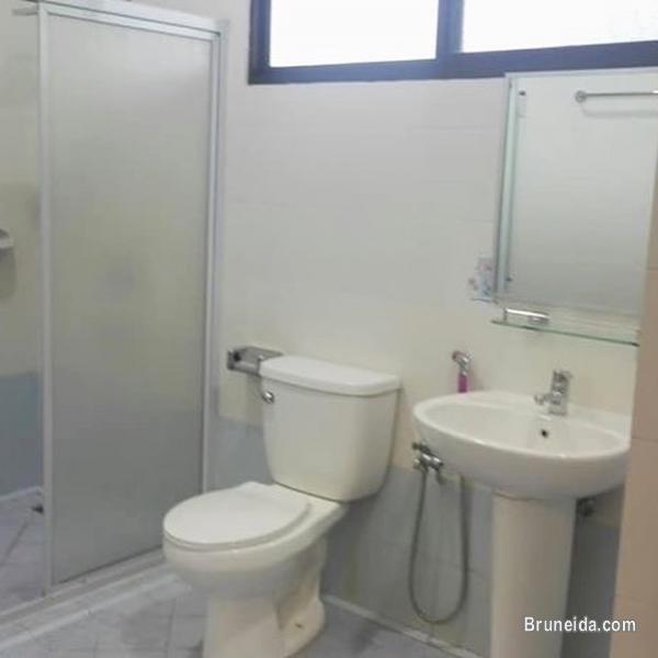 NEWLY RENOVATED DETACHED HOUSE FOR RENT - image 9