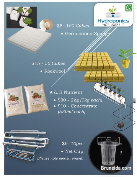 Hydroponic items - image 2