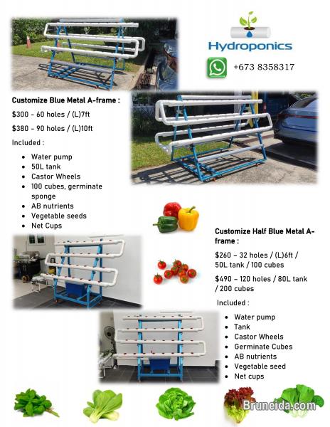 Hydroponic items - image 3