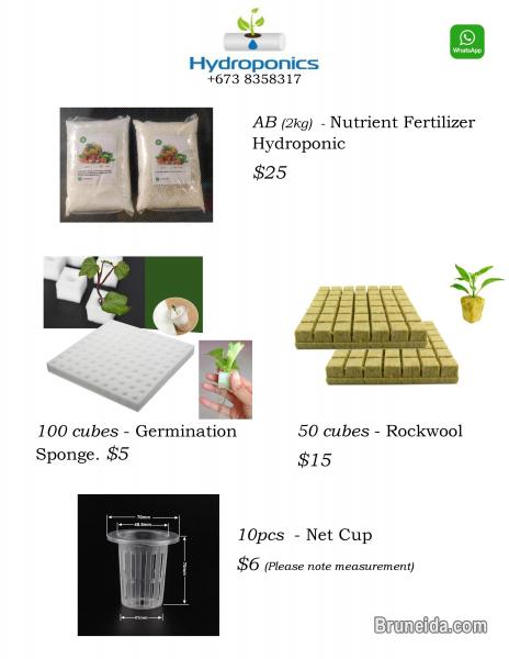 Hydroponic system - image 2