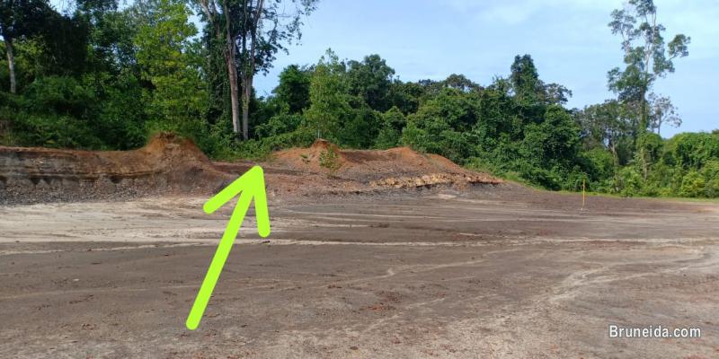 Land For Sale - image 2