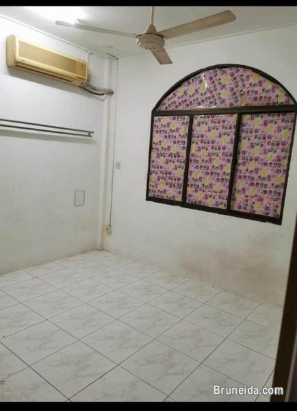 2 room for rent - image 3