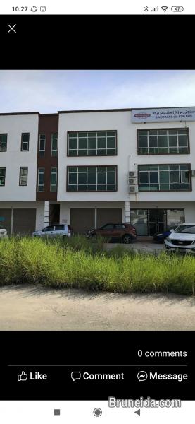 Muara shophouse for rent - image 1