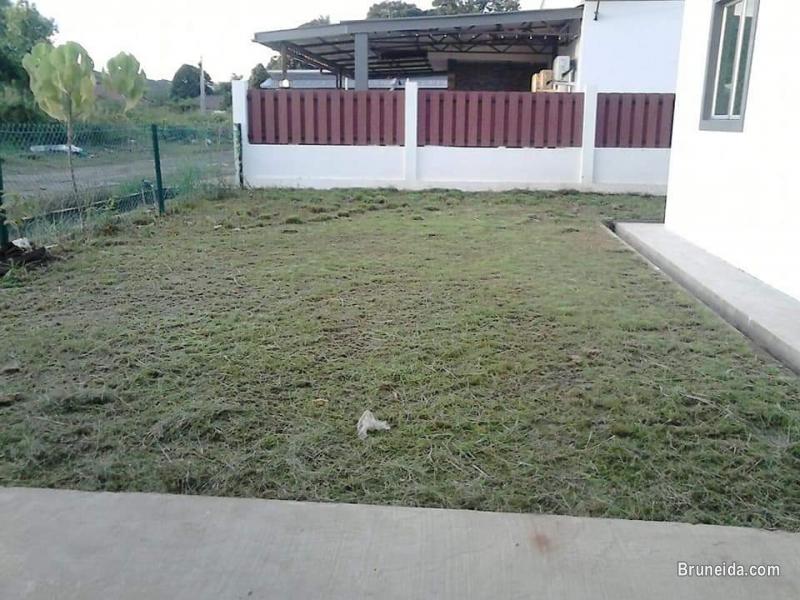 Tanah Jambu Bungalow House - image 5