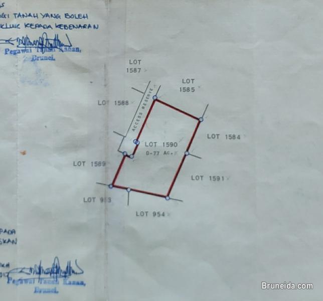 Serasa 0. 77 acre land for rent - image 2