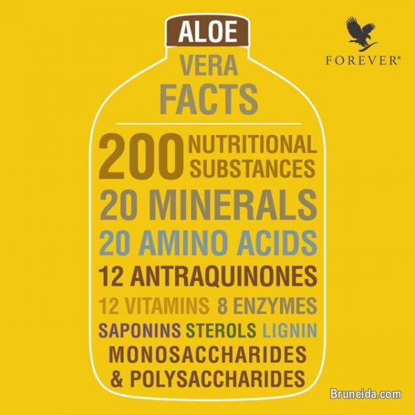 Forever Living - image 2