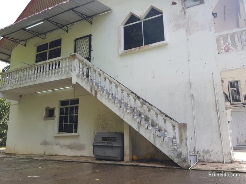 House for rent $1000 per month (UNFURNISHED) - image 3