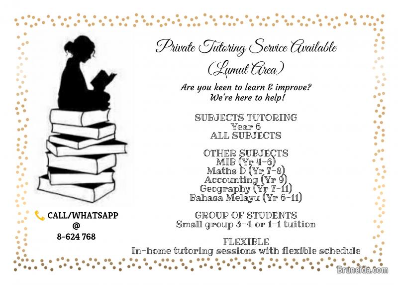 Tutoring Service Available - image 1