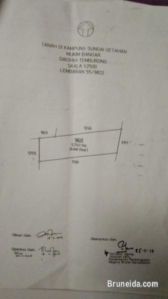 Land For Sale Temburong - image 2