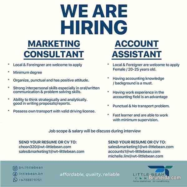 Marketing Consultant & Account Assistant - image 1
