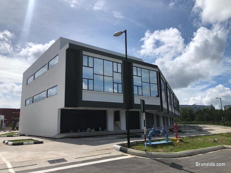 Brand new kiulap shot lot - image 1