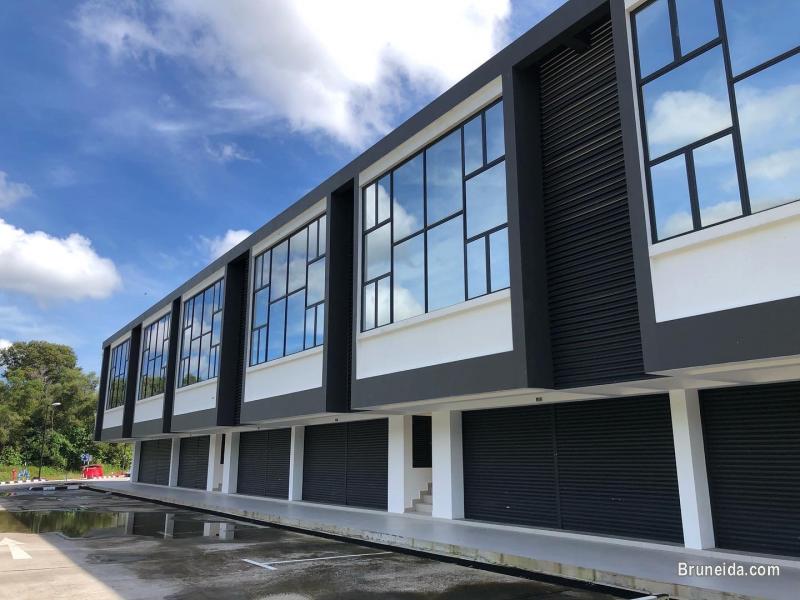 Brand new kiulap shot lot - image 2