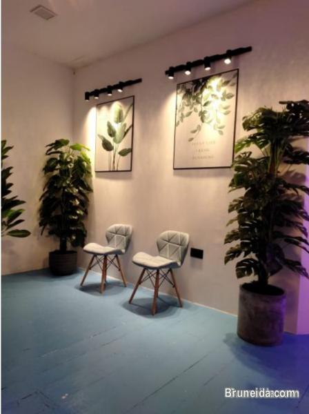 Co. Circle Bandar-Business Address - image 1