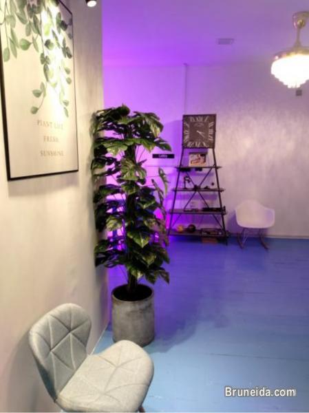 Co. Circle Bandar-Business Address - image 8