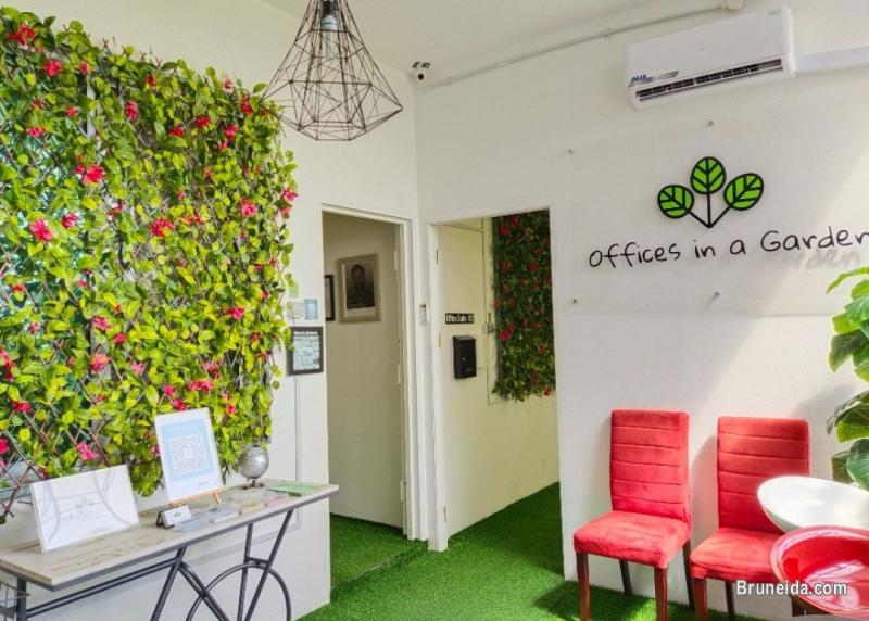 CoCircle Office Garden-Open Co-Working Space - image 1