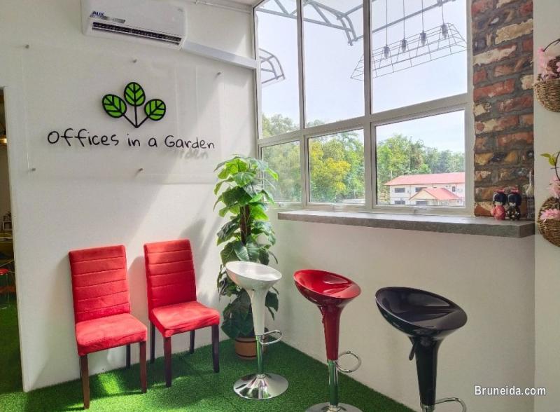 CoCircle Office Garden-Open Co-Working Space - image 2