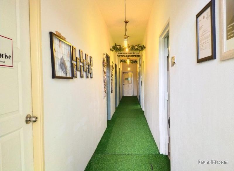 CoCircle Office Garden-Open Co-Working Space - image 3