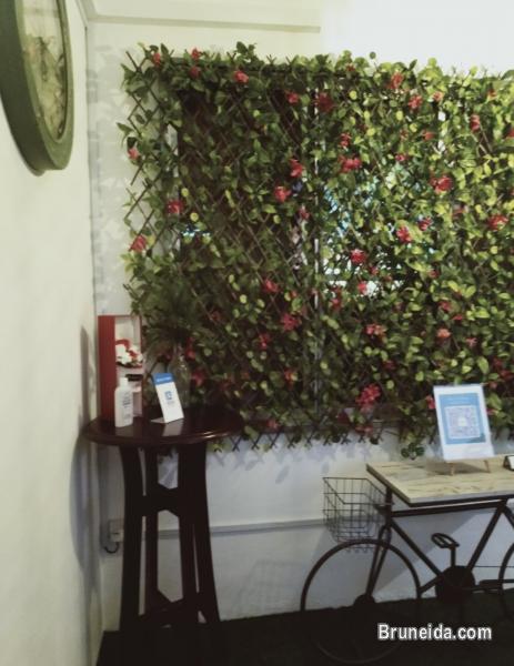 CoCircle Office Garden-Open Co-Working Space - image 6