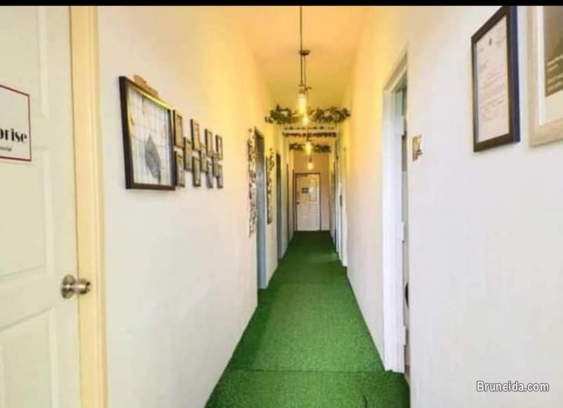 Office Garden - Business Address - image 2