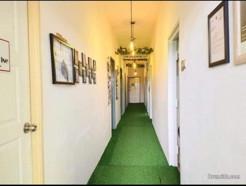 Office Garden Suite 102 (3 years contract) - image 5