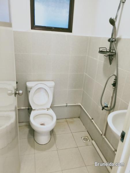 House for Rent at Kuala Belait - image 5