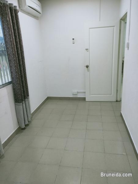 House for Rent at Jalan Singa Menteri Kuala Belait - image 7