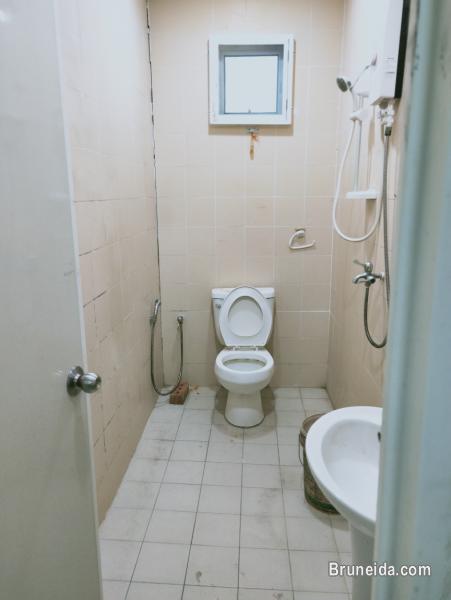 House for Rent at Jalan Singa Menteri Kuala Belait - image 8