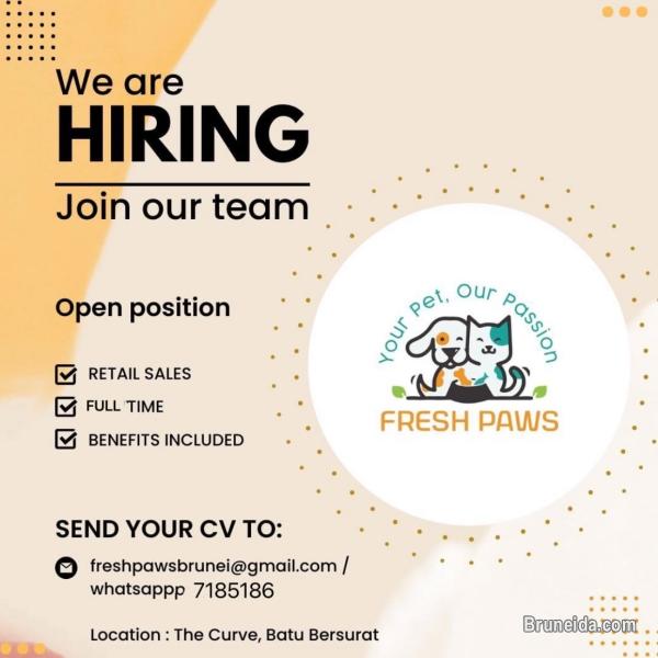 Retail Sales - image 1