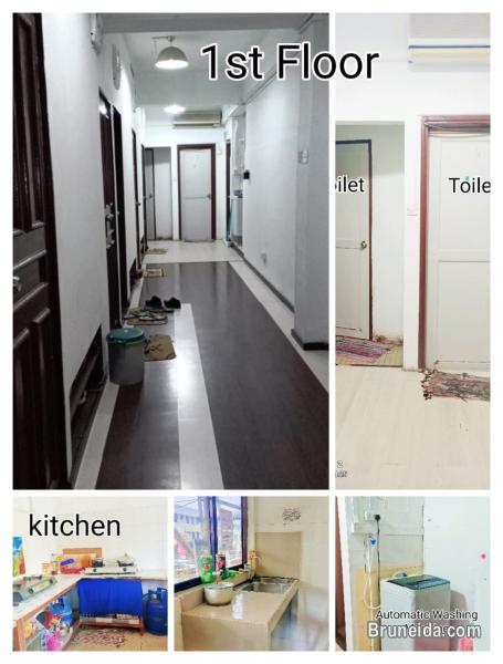 SFR-51  SHOPHOUSE FOR RENT @ GADONG - image 2