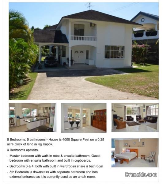 UHFS-118  USED DETACHED HOUSE FOR SALE @ KG KAPOK - image 8