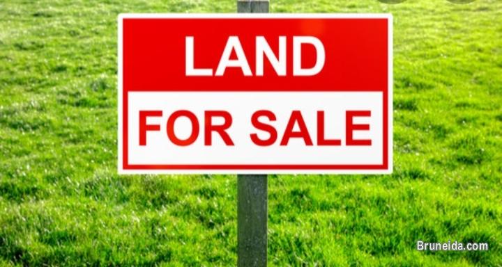 Picture of LS-84  LAND FOR SALE @ KG KILANAS