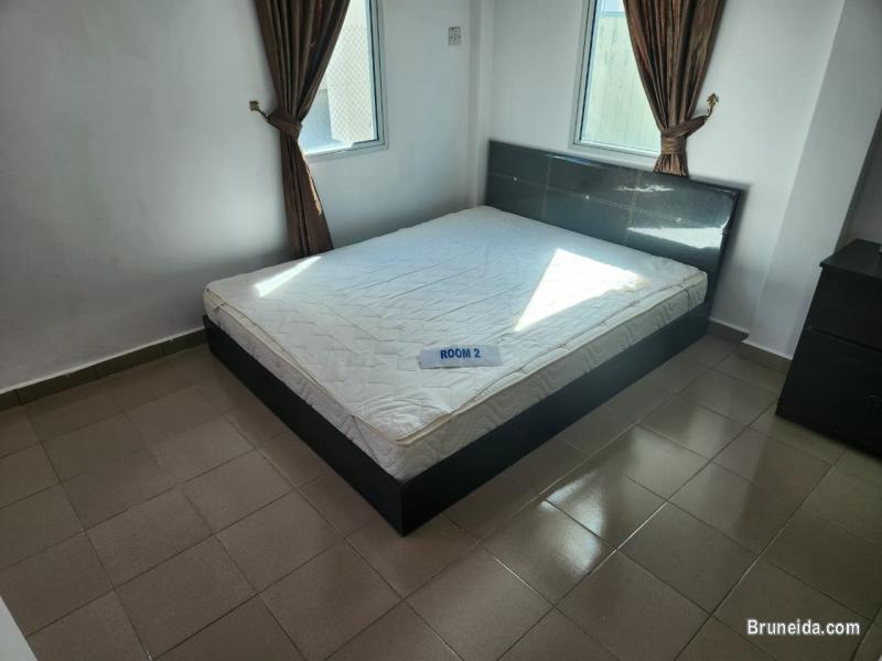 HFR-281   DETACHED HOUSE FOR RENT @ JLN SG PANDAN (KB) - image 7