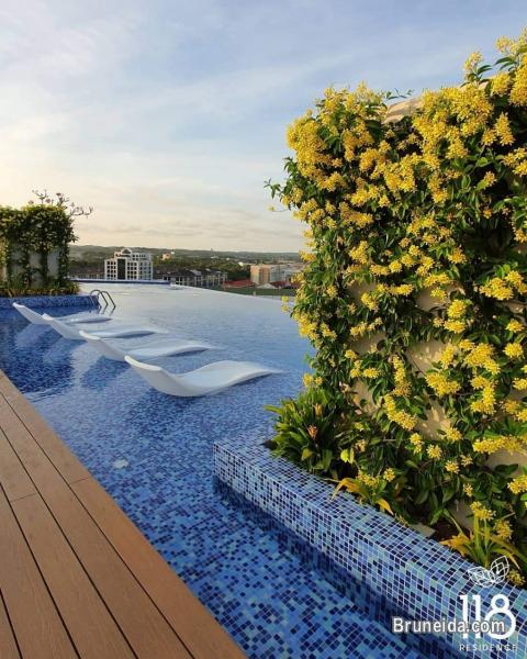 AFR-30 EXCUTIVE APARTENT FOR RENT @ KG KIULAP - image 2