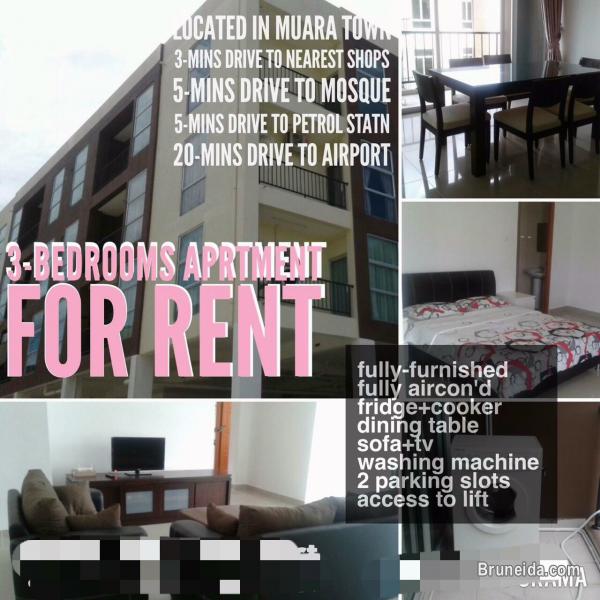 AFR-19  APARTMENT FOR RENT @ KG SABUN, MUARA - image 1