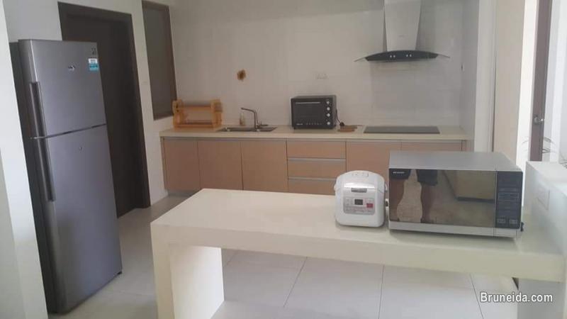 AFR-22  LUXURY APARTMENT FOR RENT @ TG BUNUT - image 4