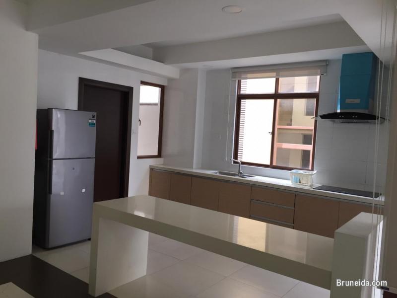 AFR-24  LUXURY APARTMENT FOR RENT @ TG BUNUT - image 3