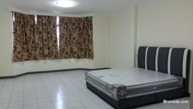 HFR-239  DETACHED HOUSE FOR RENT @ JERUDONG - image 4
