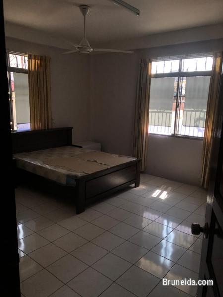 HFR-242  BUNGALOW FOR RENT @ MANGGIS SATU - image 3
