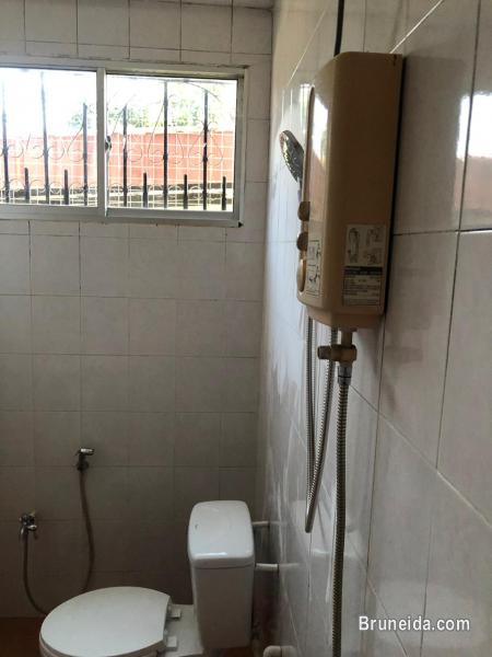 HFR-242  BUNGALOW FOR RENT @ MANGGIS SATU - image 4