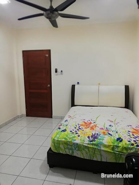 HFR-246   TERRACE HOUSE FOR RENT @ SG TILONG - image 5