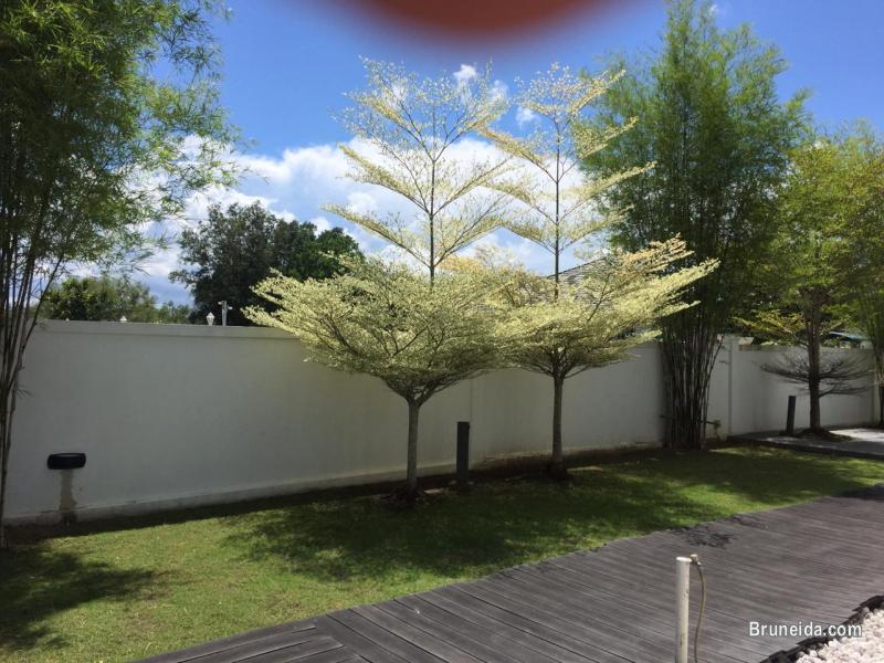 HFR-256 SEMI-D FOR RENT @ RIMBA - image 2