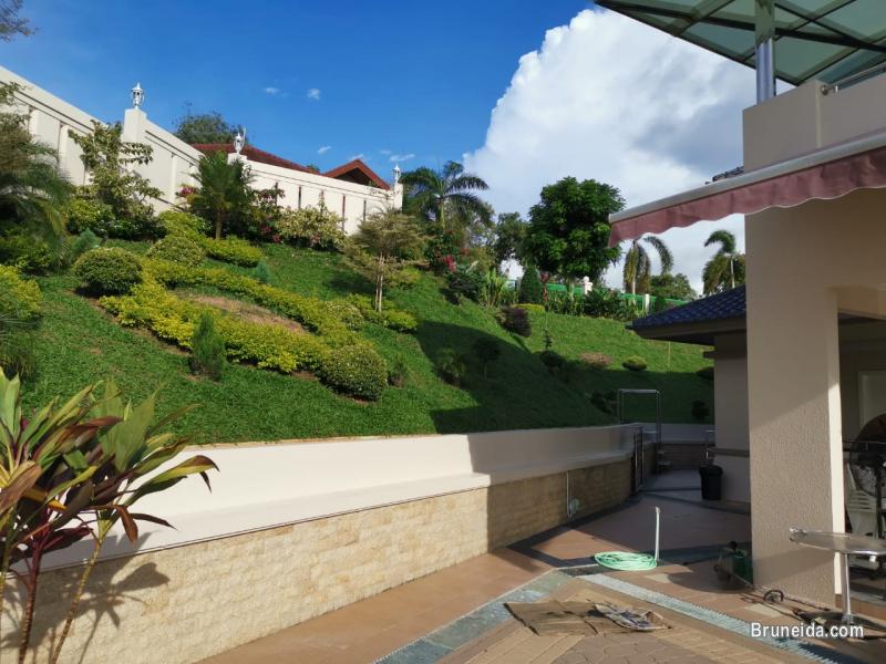 HFR-261  EXECUTIVE DETACHED HOUSE FOR RENT @ JLN TUNGKU - image 2