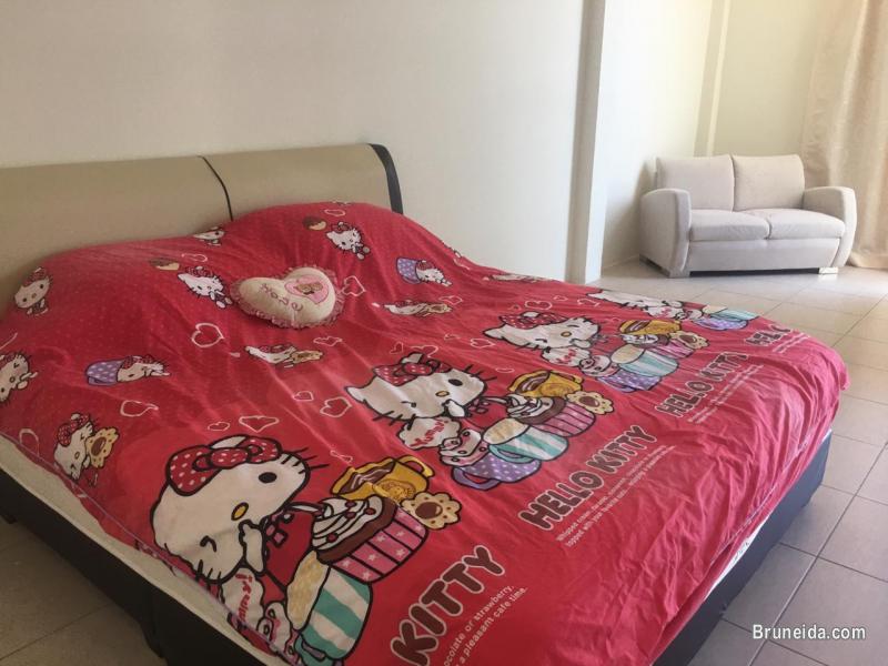 HFR-262 SEMI-D FOR RENT @ KG SG TILONG - image 4